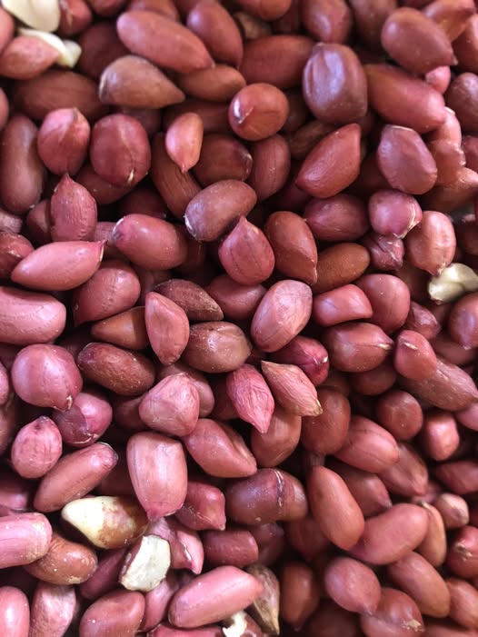 كاوكاو بلدي