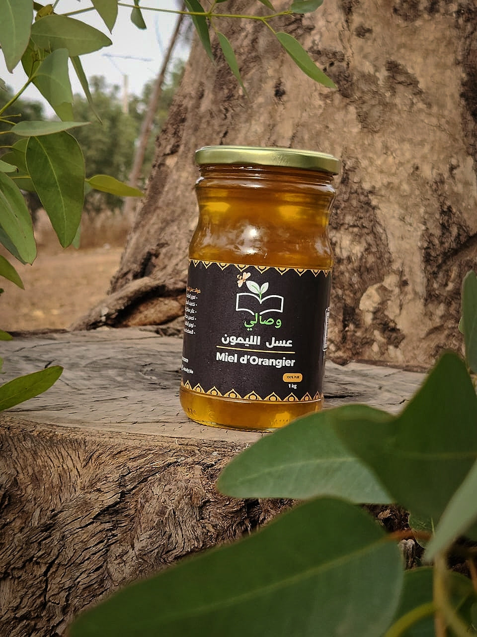 عسل الليمون