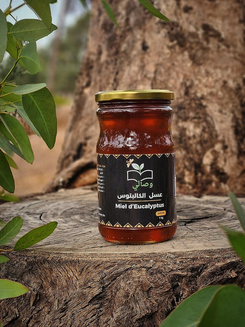 عسل الكاليبتوس