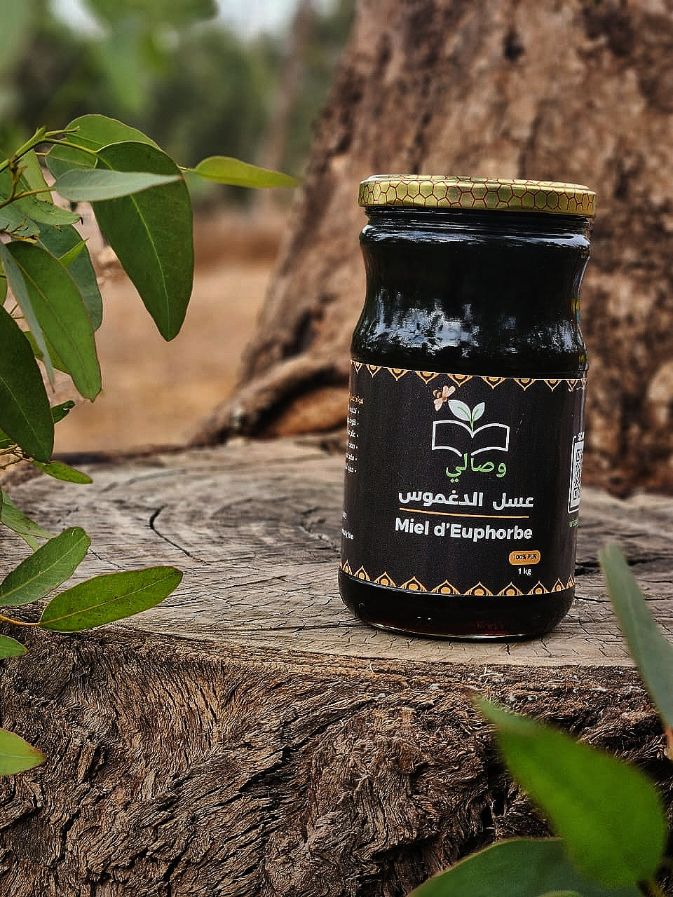 عسل الدغموس